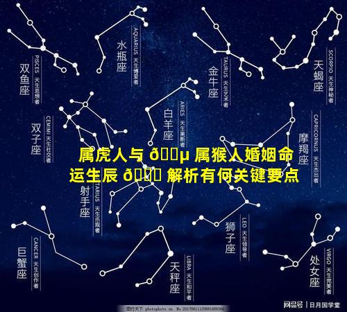 属虎人与 🐵 属猴人婚姻命运生辰 🐝 解析有何关键要点